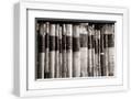 Chelsea White