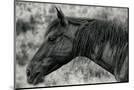 Wood Mount