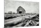Wood Mount