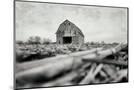 Wood Mount