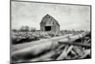 Wood Mount