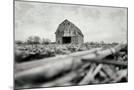 Wood Mount