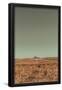 Essential Black