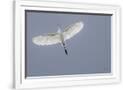 Gramercy White