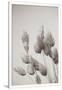 Gramercy White