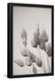 Essential Black