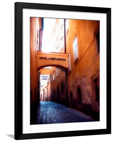 Premium Photographic Print, , large