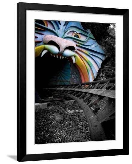 Premium Photographic Print, , large