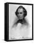 Nathaniel Hawthorne-T. Illibrown-Framed Stretched Canvas