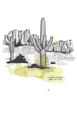 https://imgc.allpostersimages.com/img/posters/nation-park-saguaro_u-L-Q1I2S7C0.jpg?artPerspective=n