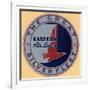 National Air and Space Museum: Eastern Air Lines-null-Framed Art Print