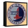 National Air and Space Museum: Eastern Air Lines-null-Framed Stretched Canvas