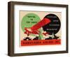 National Air and Space Museum: Pennsylvania Airlines-null-Framed Art Print