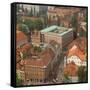 National and University Library, Ljubljana, Slovenia-null-Framed Stretched Canvas