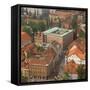 National and University Library, Ljubljana, Slovenia-null-Framed Stretched Canvas