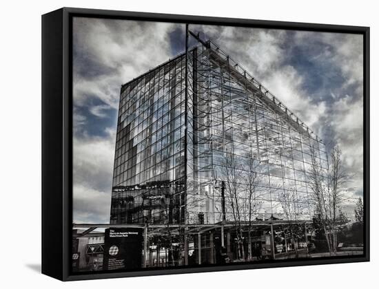 National Aquarium-Andrea Costantini-Framed Stretched Canvas