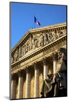 National Assembly, Paris, France, Europe-Neil Farrin-Mounted Photographic Print