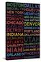 National Basketball Association Cities Colorful-null-Stretched Canvas