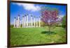 National Capitol Columns, Corinthian columns, in springtime at the United States National Arbore...-null-Framed Photographic Print