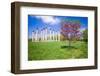 National Capitol Columns, Corinthian columns, in springtime at the United States National Arbore...-null-Framed Photographic Print