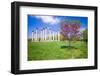 National Capitol Columns, Corinthian columns, in springtime at the United States National Arbore...-null-Framed Photographic Print