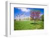 National Capitol Columns, Corinthian columns, in springtime at the United States National Arbore...-null-Framed Photographic Print