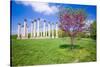 National Capitol Columns, Corinthian columns, in springtime at the United States National Arbore...-null-Stretched Canvas