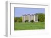 National Capitol Columns, Corinthian columns, in springtime at the United States National Arbore...-null-Framed Photographic Print