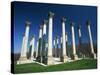 National Capitol Columns in the National Arboretum-Joseph Sohm-Stretched Canvas