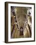 National Cathedral, Washington, D.C., USA-null-Framed Photographic Print