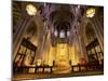 National Cathedral, Washington, D.C., USA-null-Mounted Photographic Print