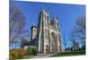 National Cathedral, Washington DC United States-Orhan-Mounted Photographic Print