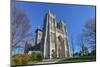 National Cathedral, Washington DC United States-Orhan-Mounted Photographic Print