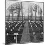 National Cemetery-Unknown-Mounted Photographic Print