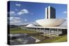 National Congress, UNESCO World Heritage Site, Brasilia, Federal District, Brazil, South America-Ian Trower-Stretched Canvas