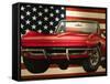 National Corvette Museum, Bowling Green, Kentucky, USA-Walter Bibikow-Framed Stretched Canvas