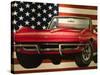 National Corvette Museum, Bowling Green, Kentucky, USA-Walter Bibikow-Stretched Canvas