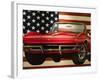 National Corvette Museum, Bowling Green, Kentucky, USA-Walter Bibikow-Framed Photographic Print