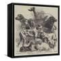 National Exhibition of Dogs at Birmingham-Harrison William Weir-Framed Stretched Canvas