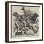 National Exhibition of Dogs at Birmingham-Harrison William Weir-Framed Giclee Print