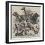 National Exhibition of Dogs at Birmingham-Harrison William Weir-Framed Giclee Print