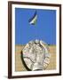 National Flag and Emblem, Bukhara, Uzbekistan, Central Asia-Upperhall-Framed Photographic Print