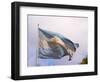 National Flag, Buenos Aires, Argentina-Per Karlsson-Framed Photographic Print