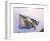 National Flag, Buenos Aires, Argentina-Per Karlsson-Framed Photographic Print