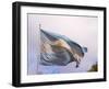 National Flag, Buenos Aires, Argentina-Per Karlsson-Framed Photographic Print
