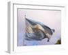 National Flag, Buenos Aires, Argentina-Per Karlsson-Framed Photographic Print