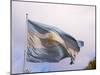 National Flag, Buenos Aires, Argentina-Per Karlsson-Mounted Photographic Print