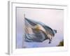 National Flag, Buenos Aires, Argentina-Per Karlsson-Framed Photographic Print