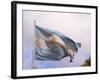 National Flag, Buenos Aires, Argentina-Per Karlsson-Framed Photographic Print