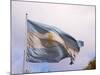 National Flag, Buenos Aires, Argentina-Per Karlsson-Mounted Photographic Print